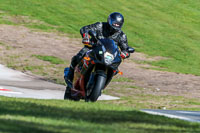 Oulton-Park-20th-March-2020;PJ-Motorsport-Photography-2020;anglesey;brands-hatch;cadwell-park;croft;donington-park;enduro-digital-images;event-digital-images;eventdigitalimages;mallory;no-limits;oulton-park;peter-wileman-photography;racing-digital-images;silverstone;snetterton;trackday-digital-images;trackday-photos;vmcc-banbury-run;welsh-2-day-enduro